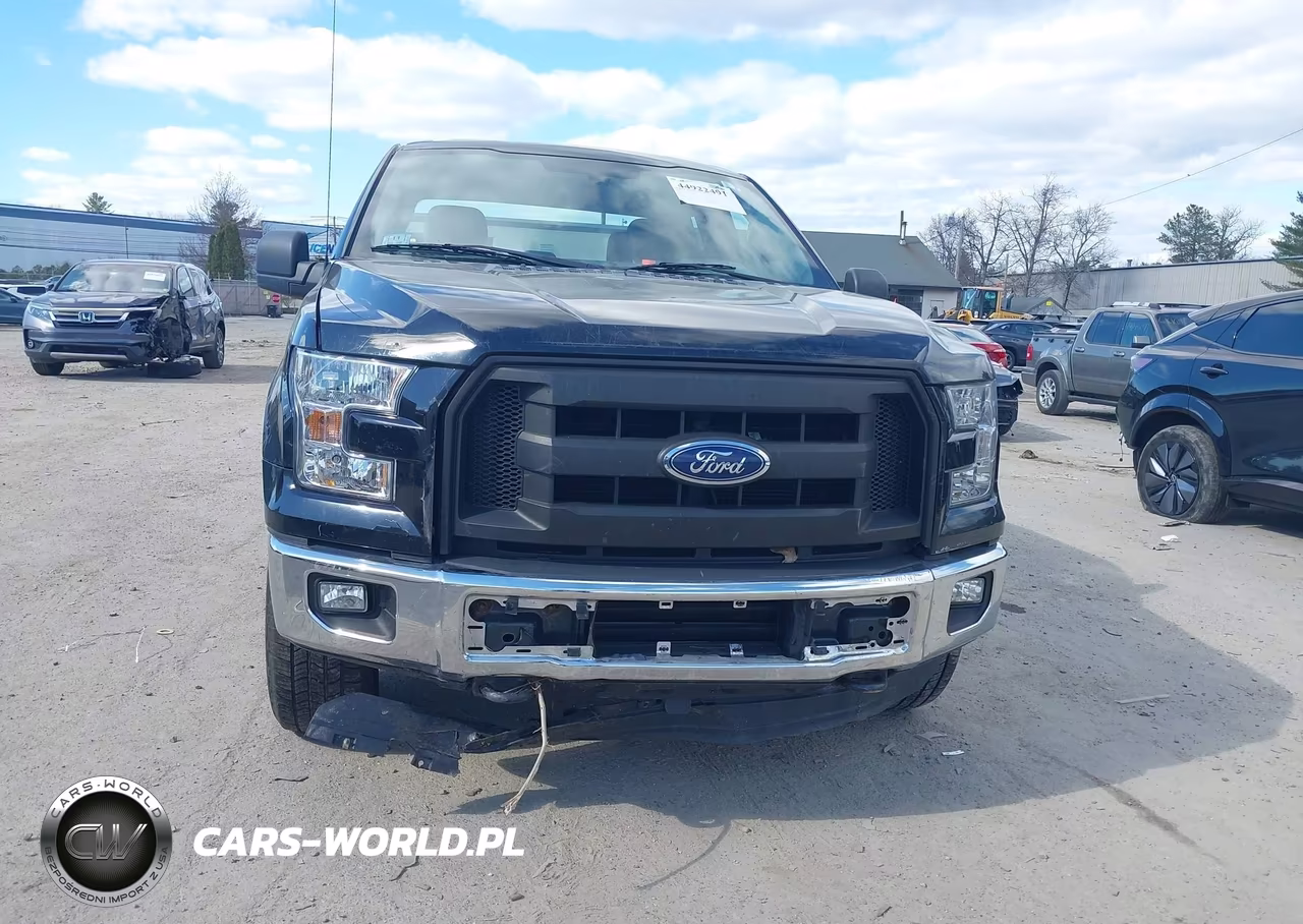 2016 Ford F-150 Xl VIN:1FTEX1EP3GFA48788 - 6