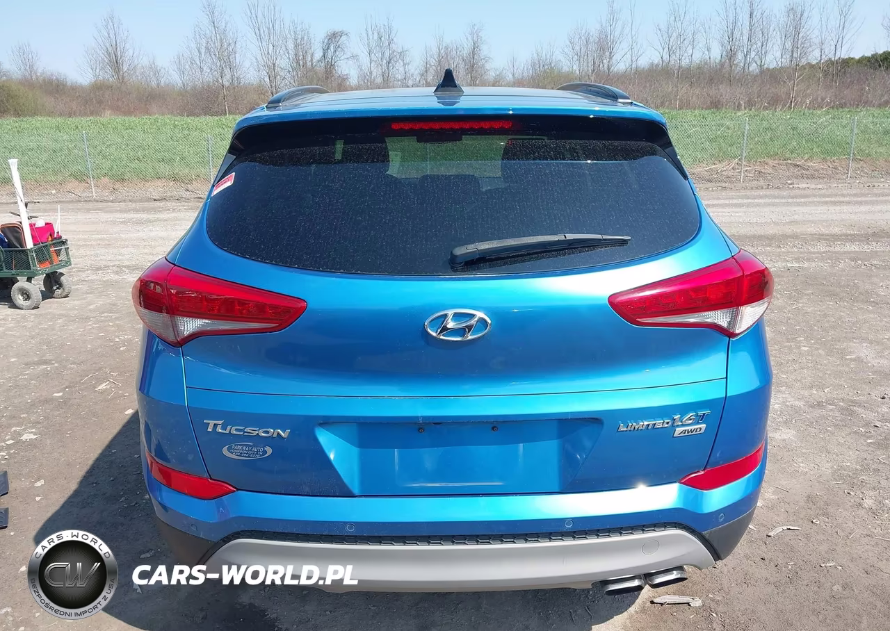 2017 Hyundai Tucson Limited VIN:KM8J3CA25HU578186 - 16