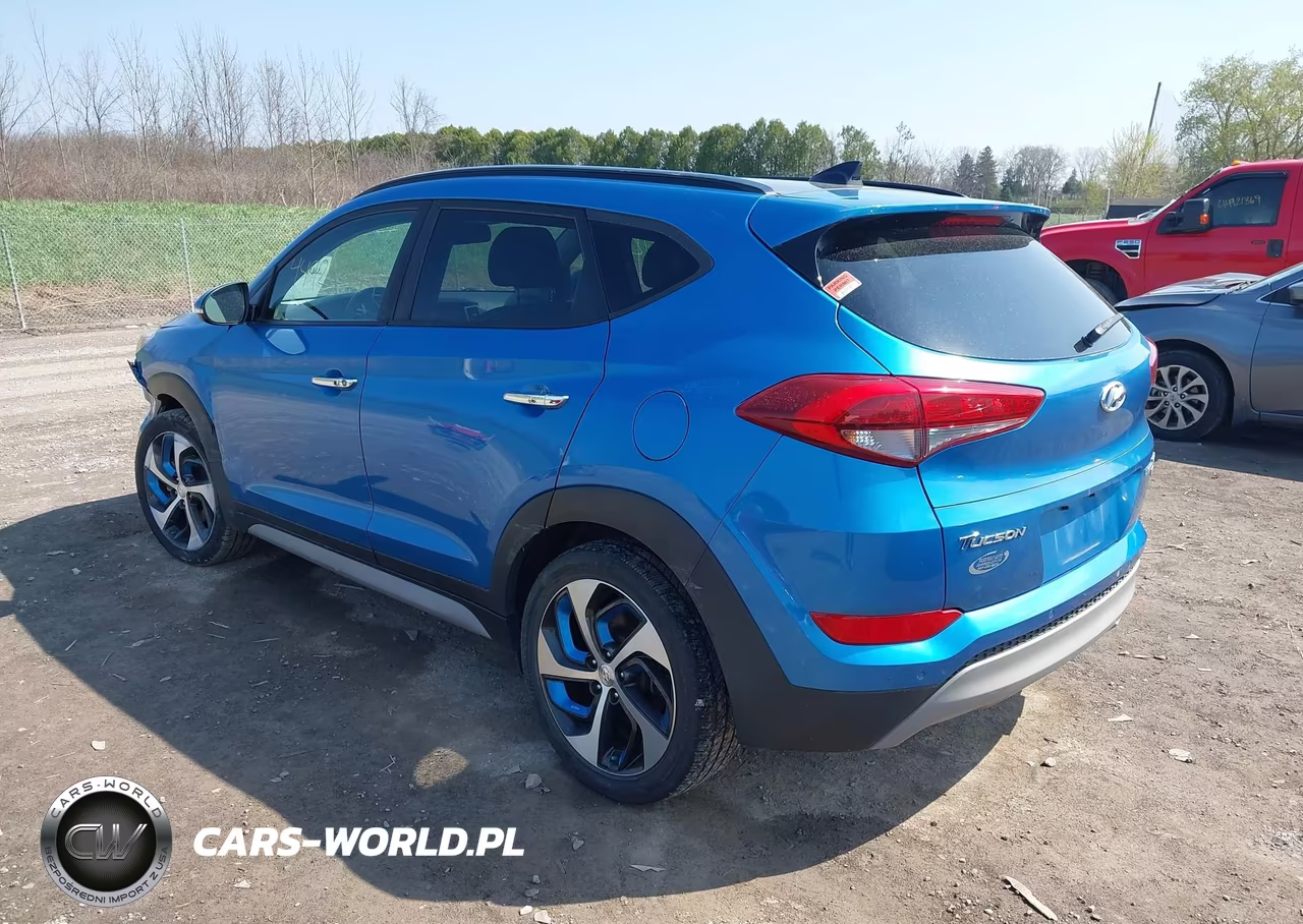 2017 Hyundai Tucson Limited VIN:KM8J3CA25HU578186 - 3