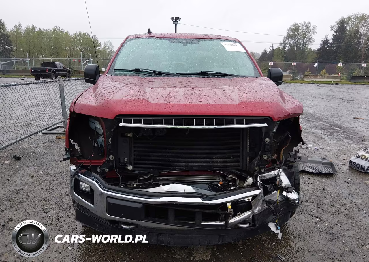 2019 Ford F-150 Xlt VIN:1FTEW1EP8KKD86268 - 13