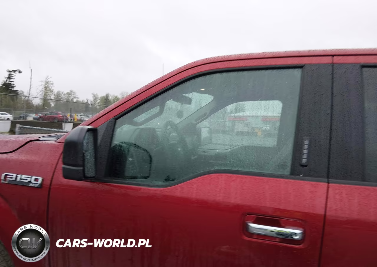 2019 Ford F-150 Xlt VIN:1FTEW1EP8KKD86268 - 15