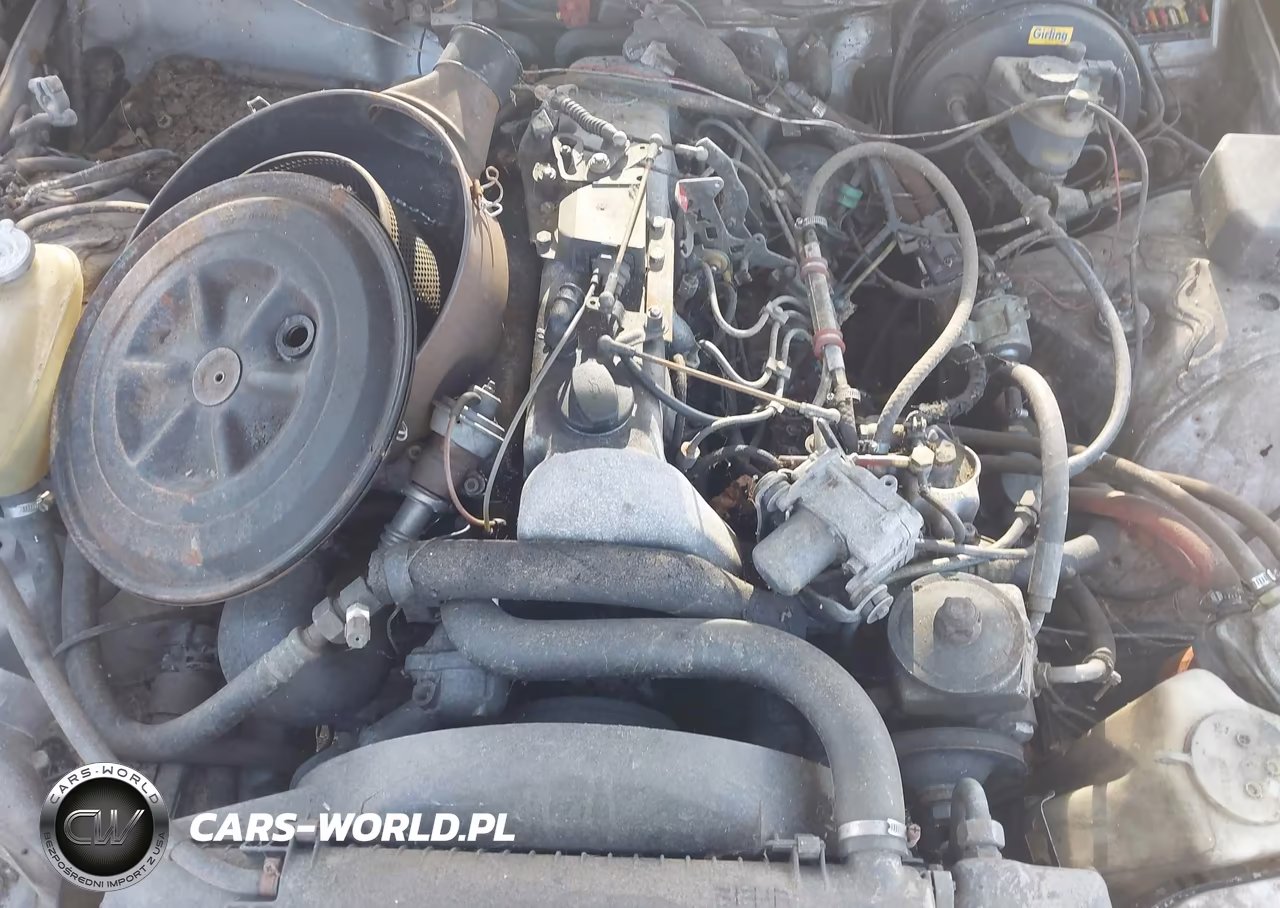1984 Mercedes-Benz 300 Dt VIN:WDBAB33AXEA092867 - 10