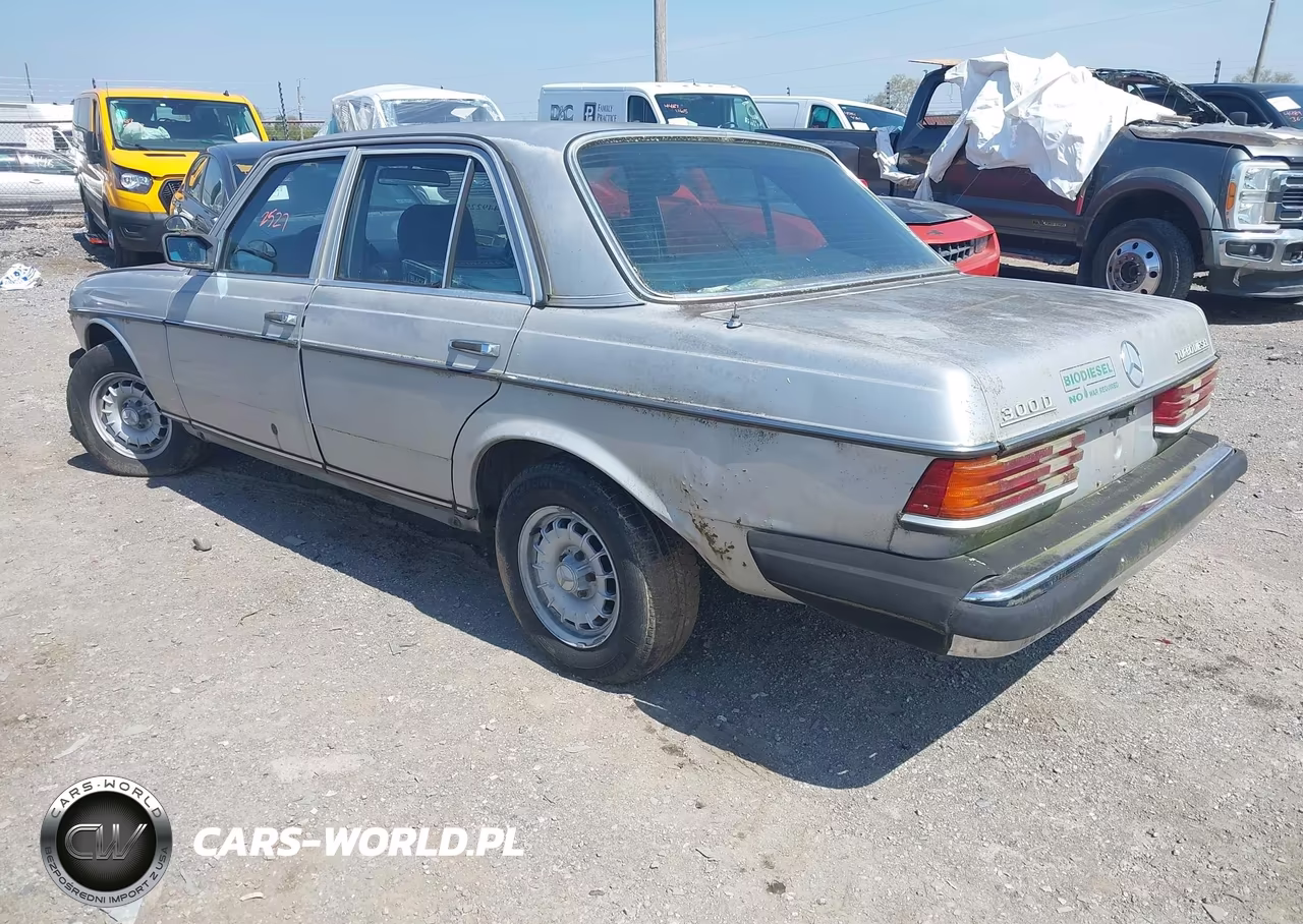 1984 Mercedes-Benz 300 Dt VIN:WDBAB33AXEA092867 - 3
