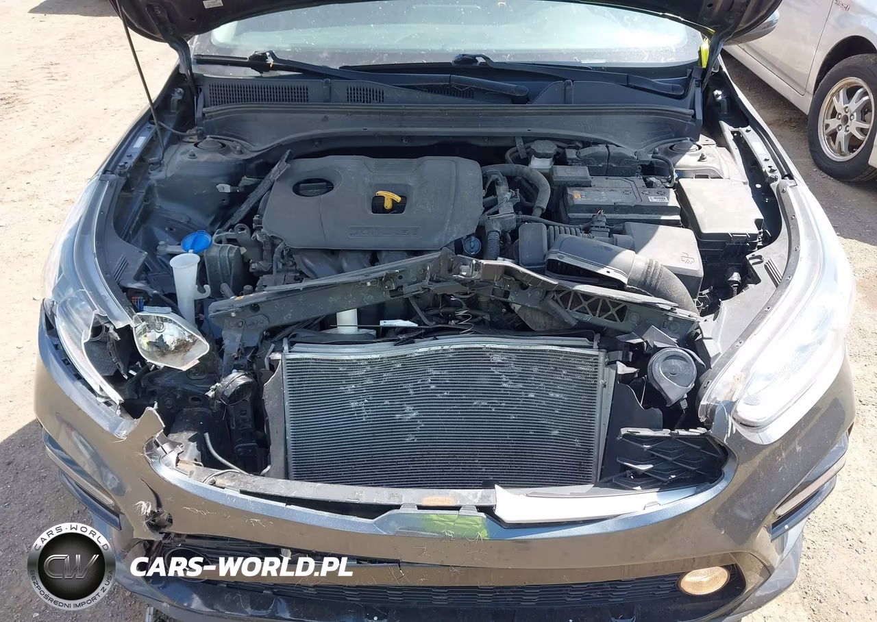 2020 Kia Forte Lxs VIN:3KPF24AD9LE248238 - 10