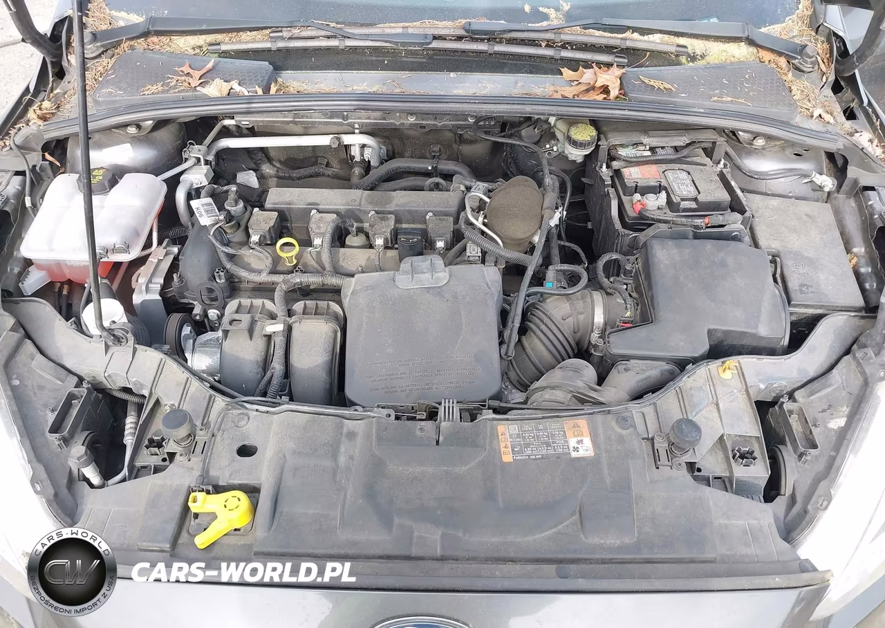 2015 Ford Focus Se VIN:1FADP3K29FL314708 - 10