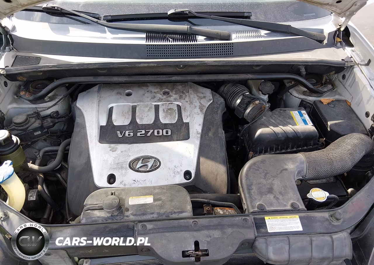 2006 Hyundai Tucson Gls-Limited VIN:KM8JN12D16U350133 - 10