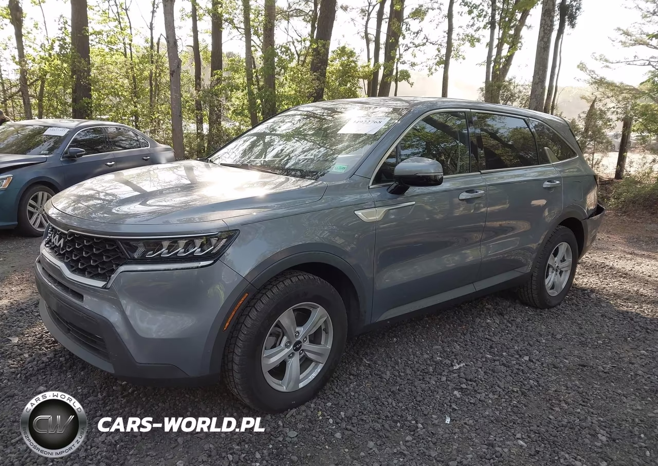 2022 Kia Sorento Lx VIN:5XYRG4LC0NG142365 - 2