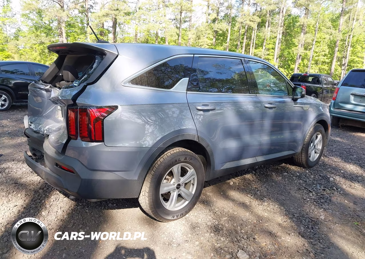 2022 Kia Sorento Lx VIN:5XYRG4LC0NG142365 - 4