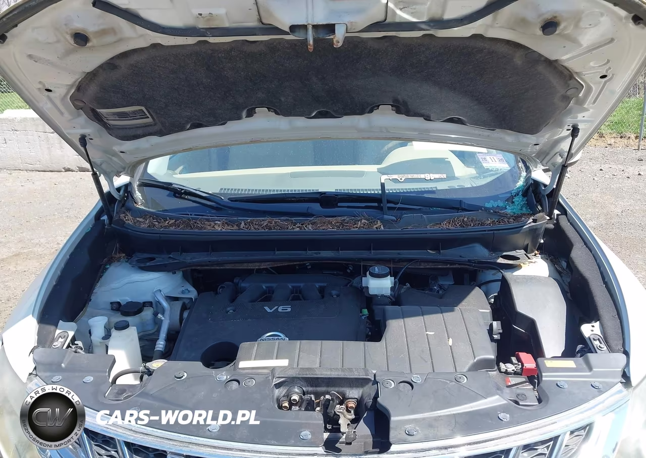2011 Nissan Murano Le VIN:JN8AZ1MW8BW187720 - 10