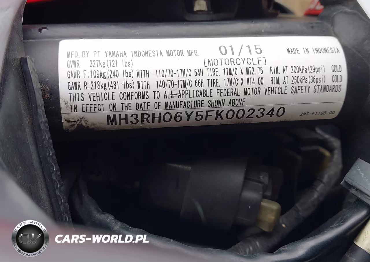 2015 Yamaha Yzfr3 VIN:MH3RH06Y5FK002340 - 10