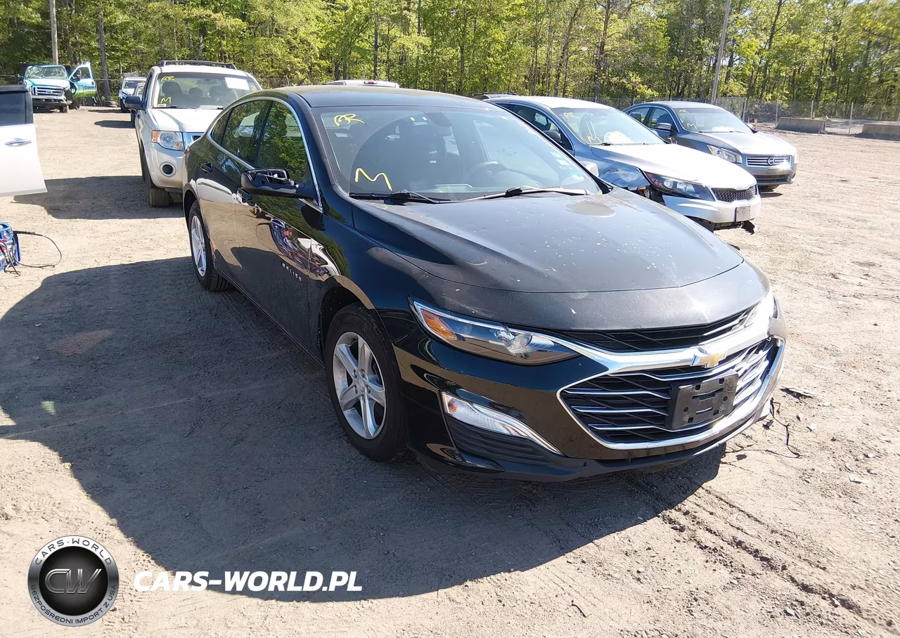 2019 Chevrolet Malibu 1Ls
