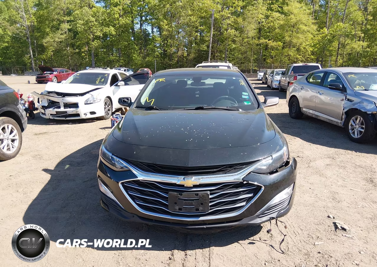 2019 Chevrolet Malibu 1Ls VIN:1G1ZB5ST0KF198951 - 12