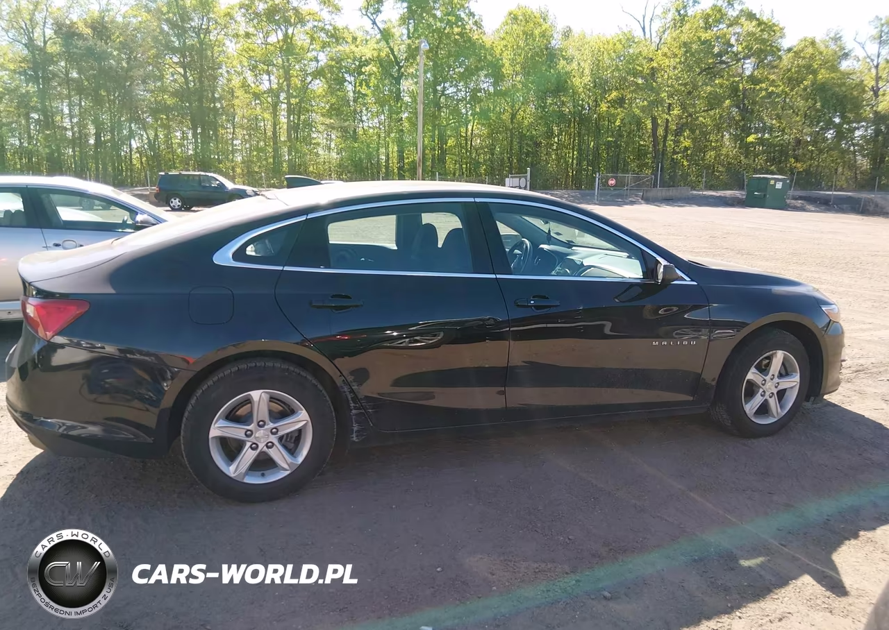 2019 Chevrolet Malibu 1Ls VIN:1G1ZB5ST0KF198951 - 13