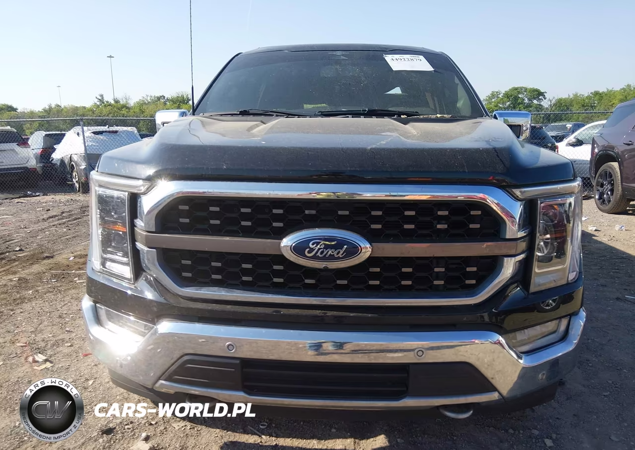 2023 Ford F-150 King Ranch VIN:1FTFW1E52PFD28126 - 12