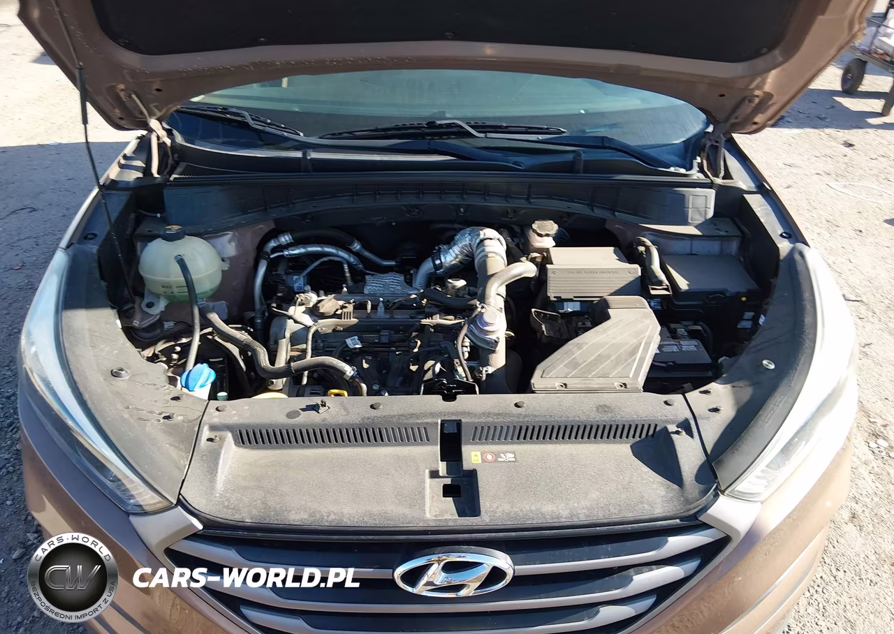 2016 Hyundai Tucson Eco VIN:KM8J3CA26GU121806 - 10