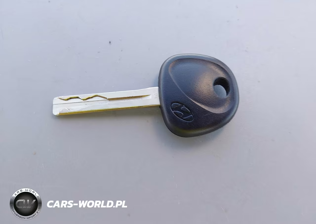 2016 Hyundai Tucson Eco VIN:KM8J3CA26GU121806 - 11