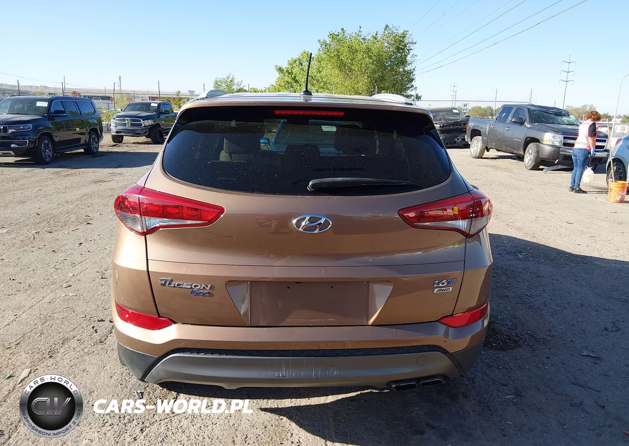 2016 Hyundai Tucson Eco VIN:KM8J3CA26GU121806 - 16