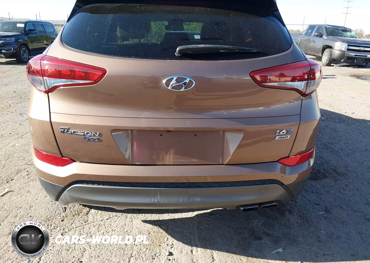 2016 Hyundai Tucson Eco VIN:KM8J3CA26GU121806 - 18