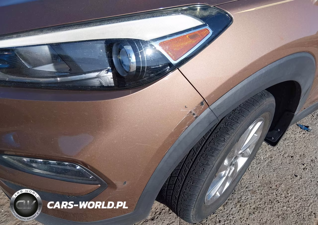 2016 Hyundai Tucson Eco VIN:KM8J3CA26GU121806 - 20