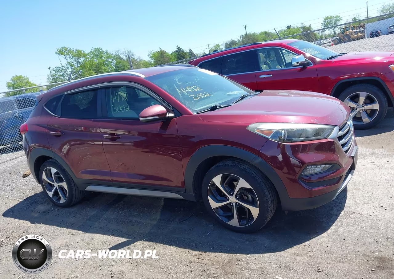 2017 Hyundai Tucson Sport VIN:KM8J33A2XHU356341 - 13