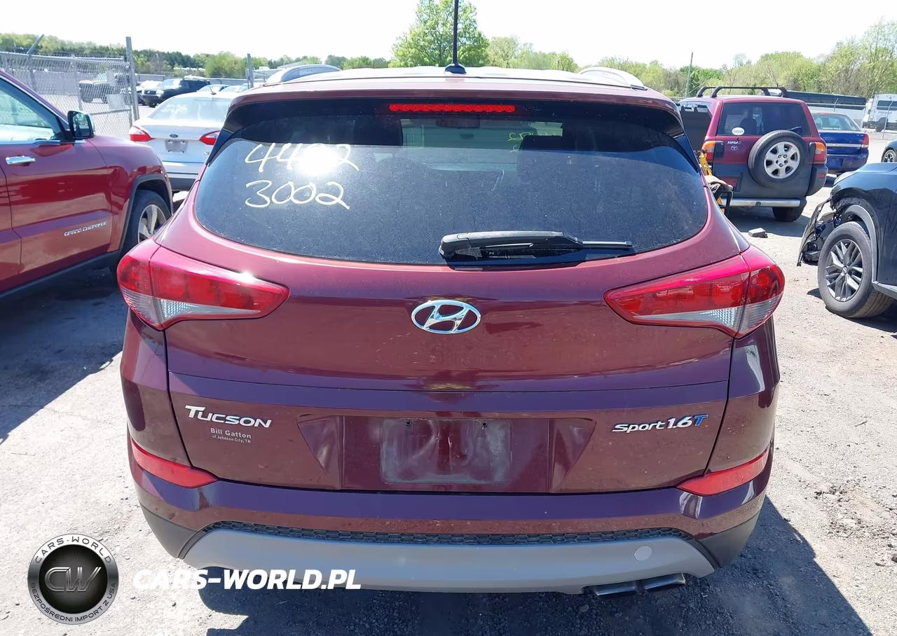2017 Hyundai Tucson Sport VIN:KM8J33A2XHU356341 - 16