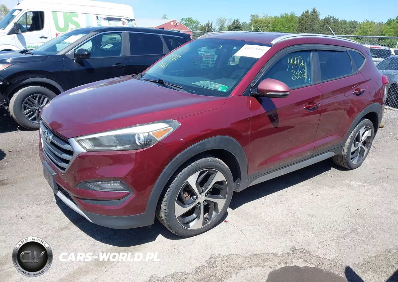 2017 Hyundai Tucson Sport VIN:KM8J33A2XHU356341 - 2