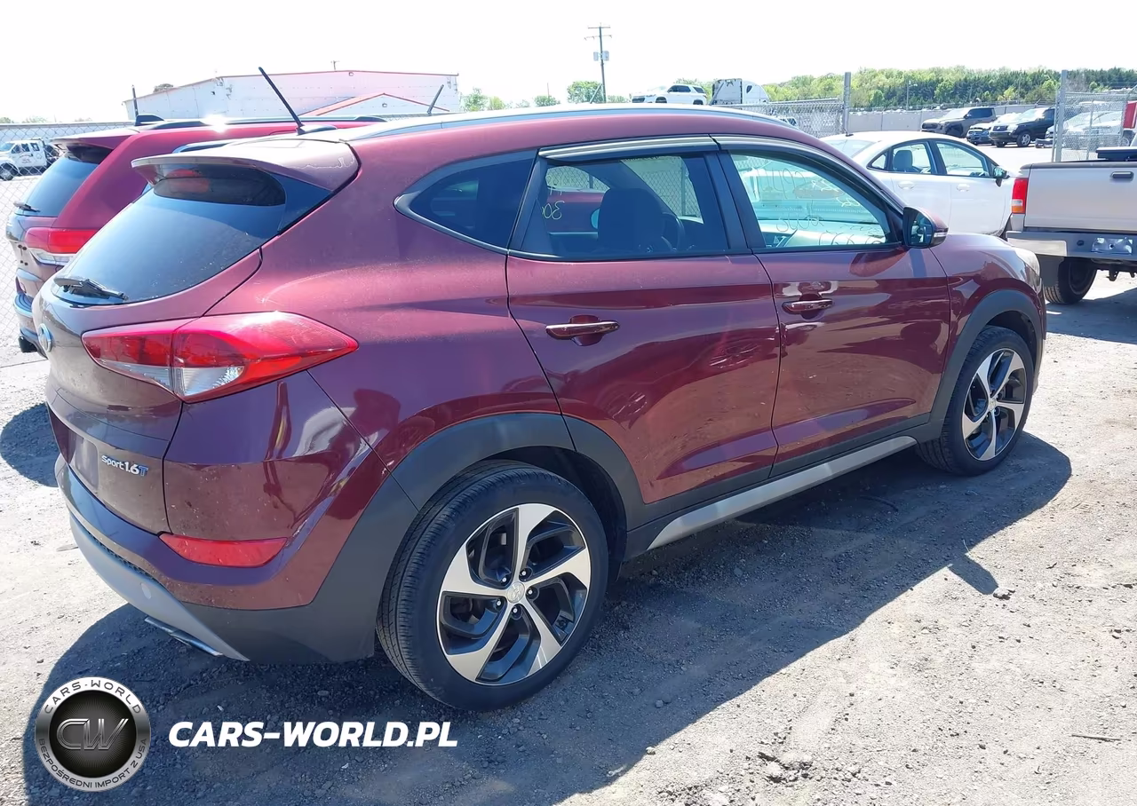 2017 Hyundai Tucson Sport VIN:KM8J33A2XHU356341 - 4