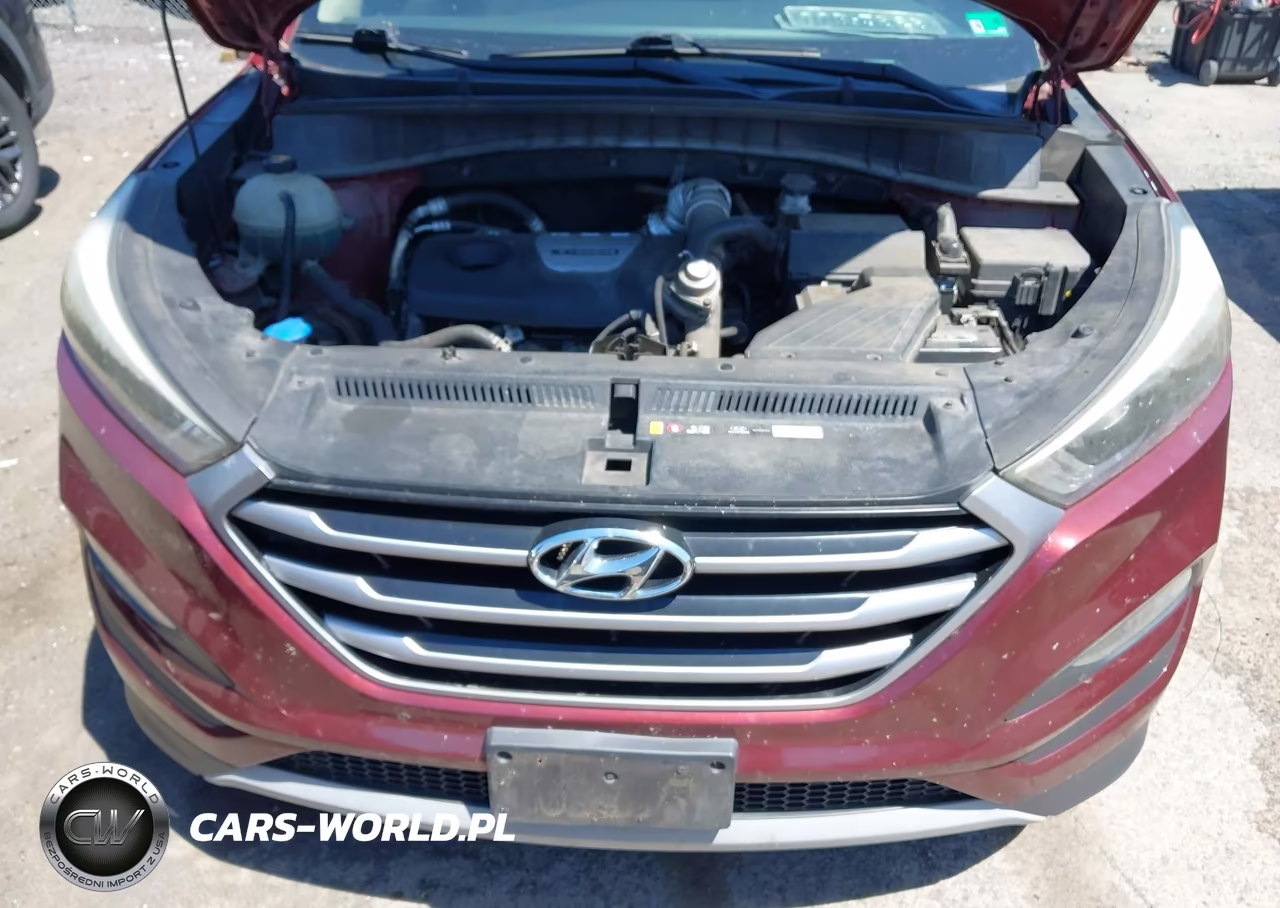 2017 Hyundai Tucson Sport VIN:KM8J33A2XHU356341 - 6