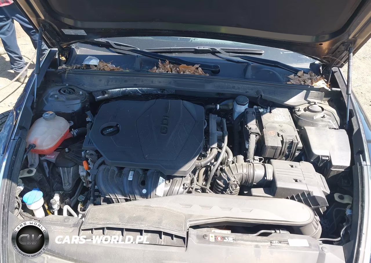 2023 Hyundai Sonata Sel VIN:KMHL64JA1PA256299 - 10
