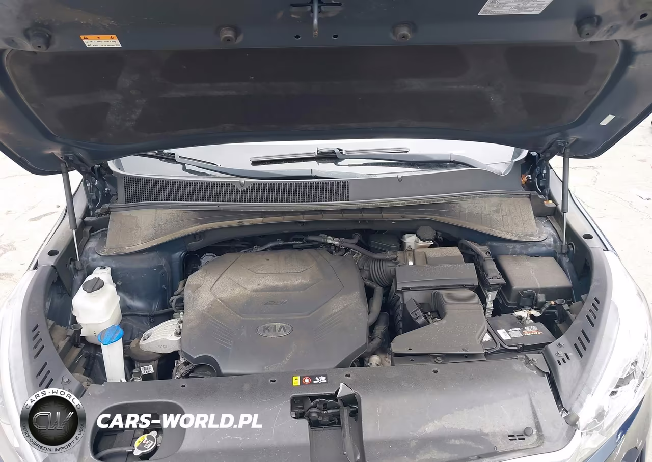 2019 Kia Sorento 3.3L Ex VIN:5XYPHDA55KG526145 - 10