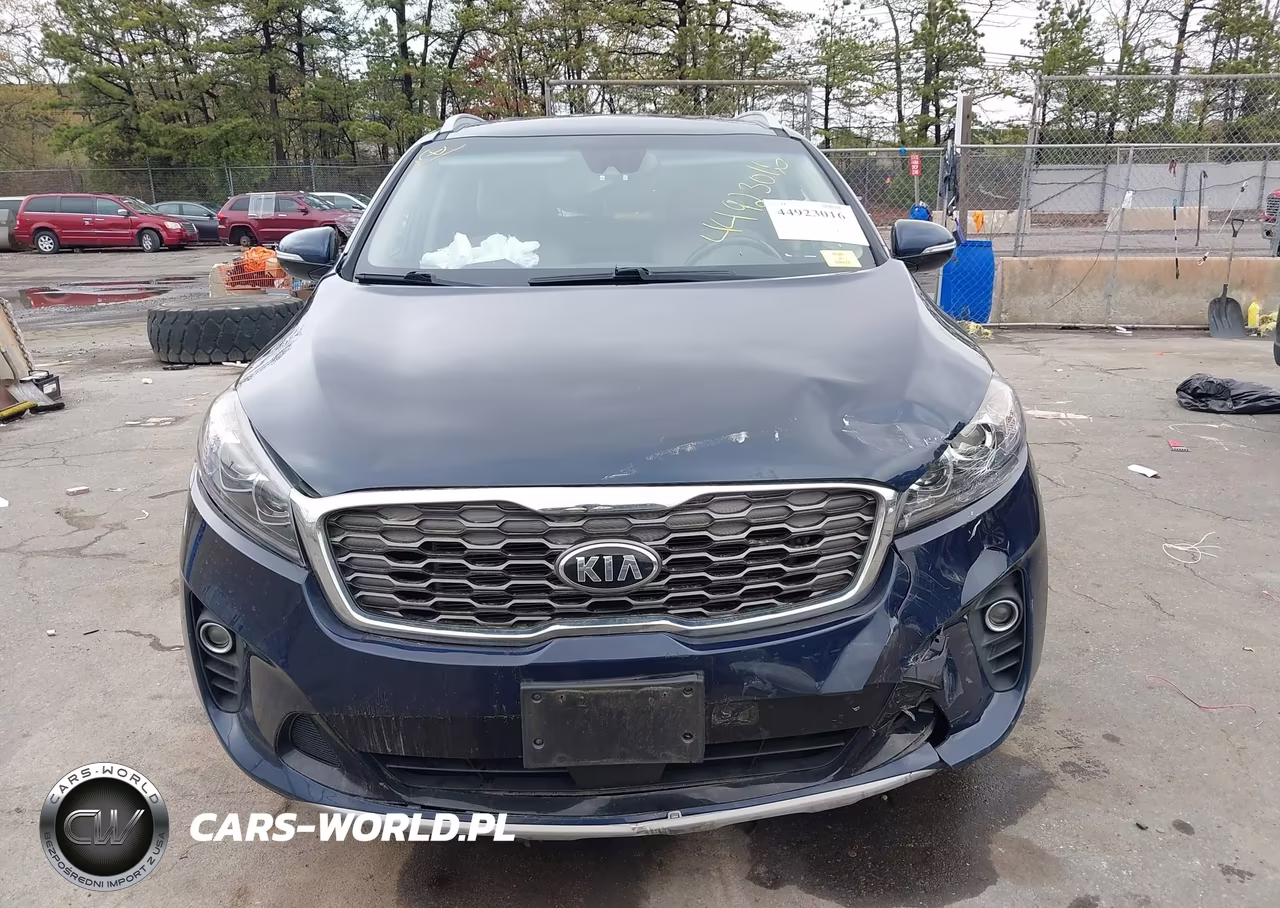 2019 Kia Sorento 3.3L Ex VIN:5XYPHDA55KG526145 - 12