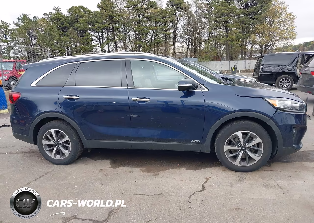 2019 Kia Sorento 3.3L Ex VIN:5XYPHDA55KG526145 - 13