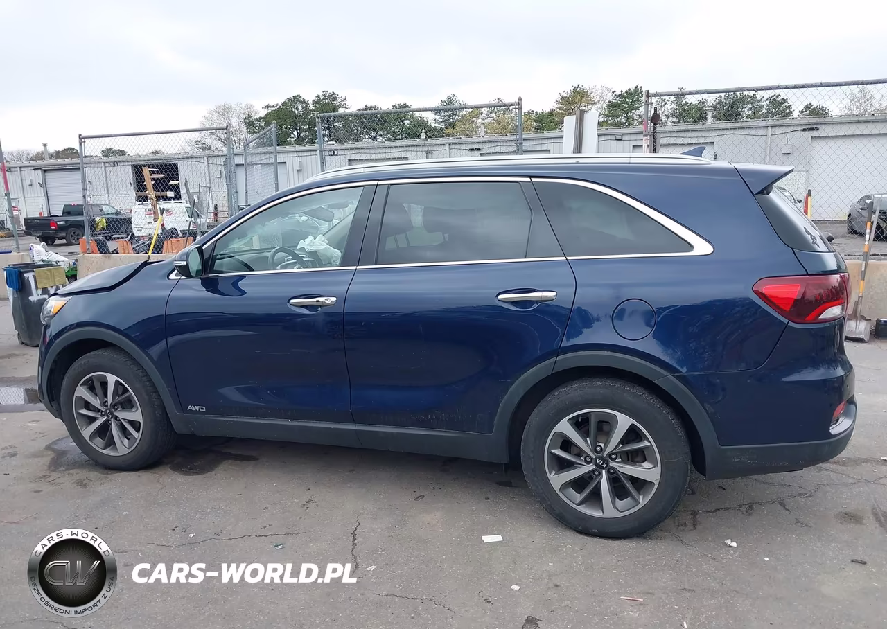2019 Kia Sorento 3.3L Ex VIN:5XYPHDA55KG526145 - 14