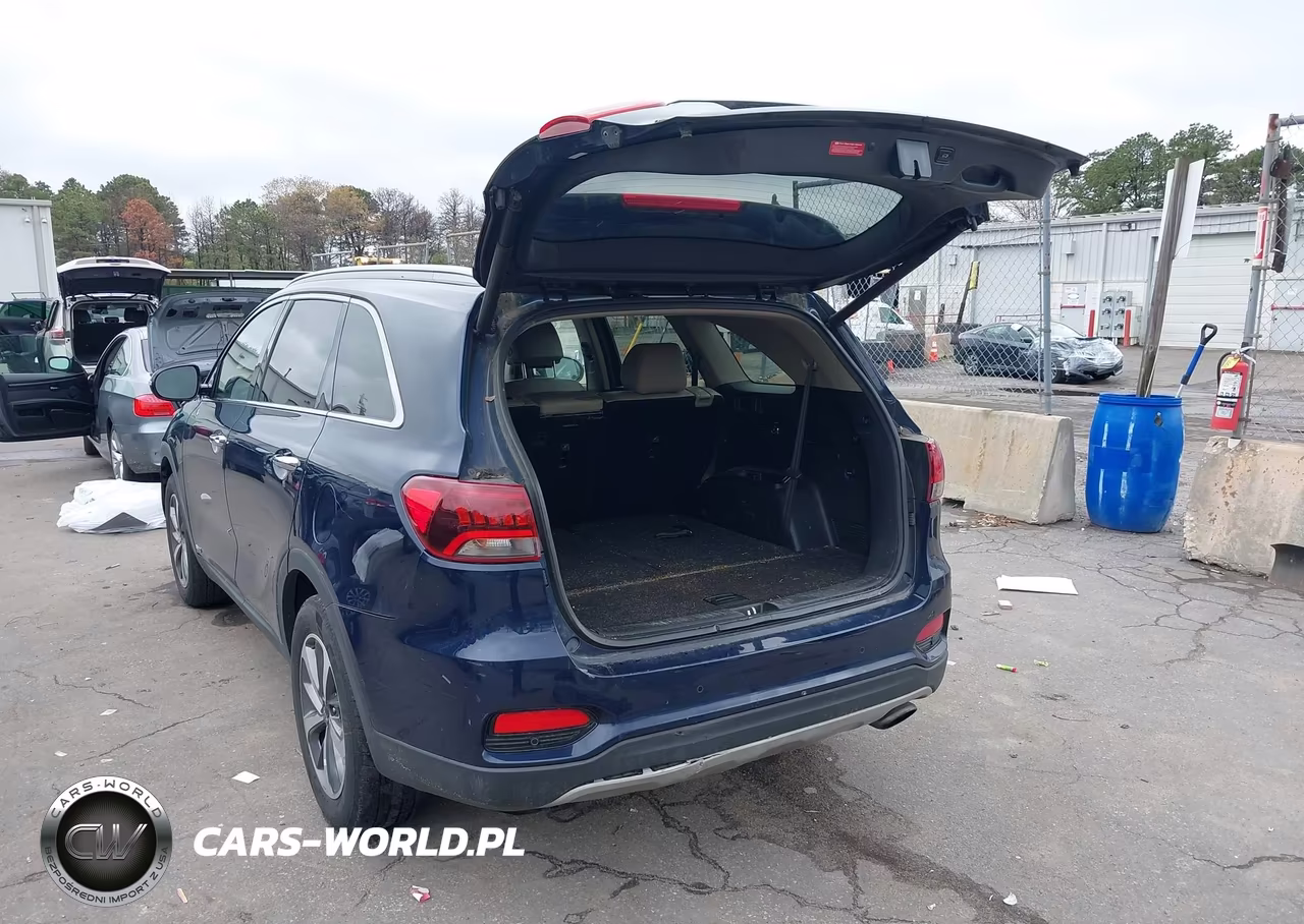 2019 Kia Sorento 3.3L Ex VIN:5XYPHDA55KG526145 - 3