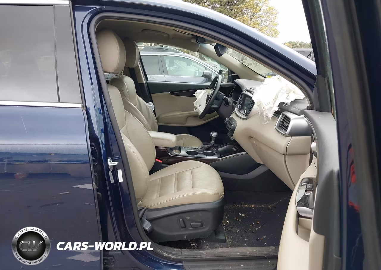 2019 Kia Sorento 3.3L Ex VIN:5XYPHDA55KG526145 - 5