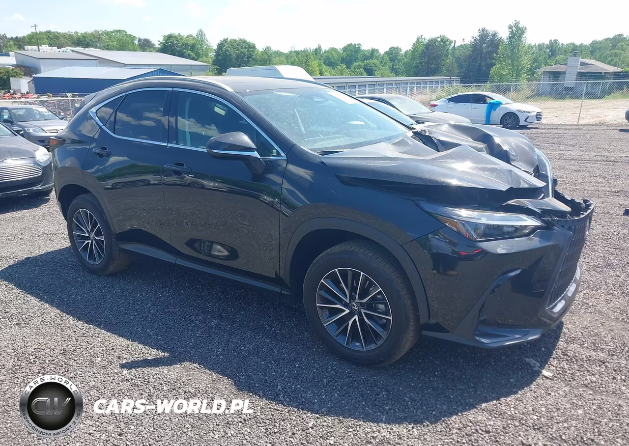 2025 Lexus Nx 250 Premium