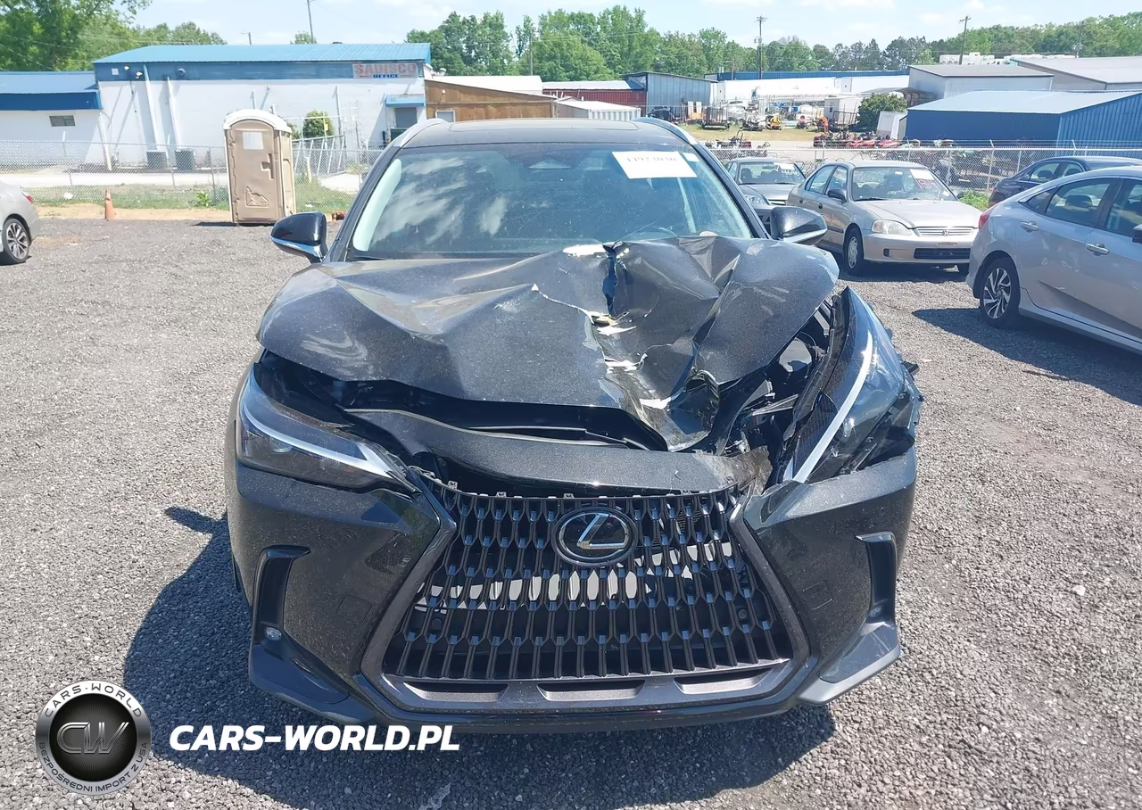 2025 Lexus Nx 250 Premium VIN:2T2GDCAZ7SC024222 - 12