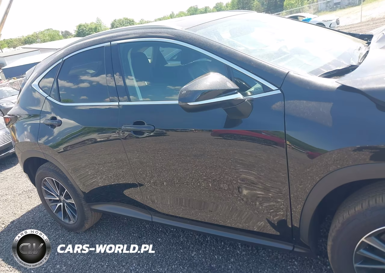 2025 Lexus Nx 250 Premium VIN:2T2GDCAZ7SC024222 - 13