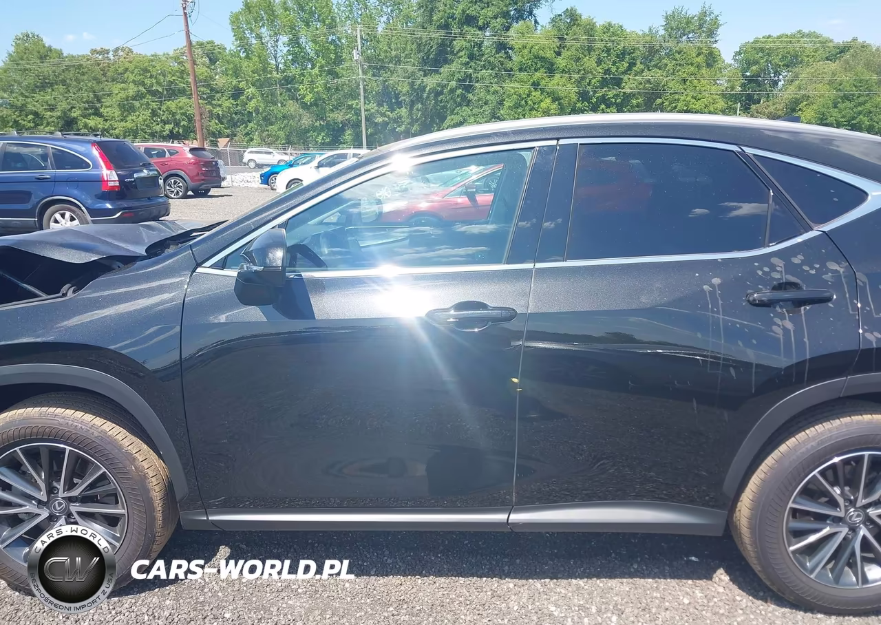 2025 Lexus Nx 250 Premium VIN:2T2GDCAZ7SC024222 - 14