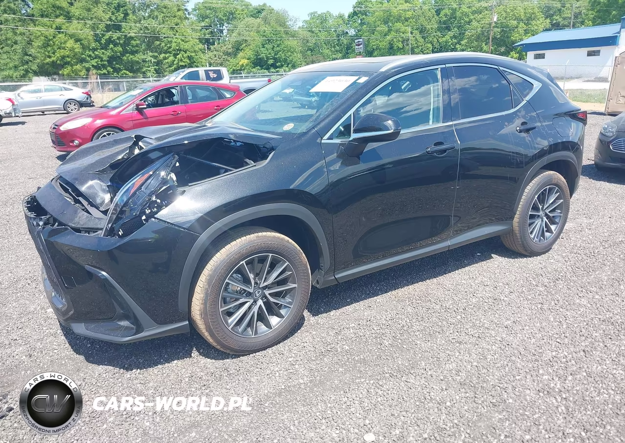 2025 Lexus Nx 250 Premium VIN:2T2GDCAZ7SC024222 - 2