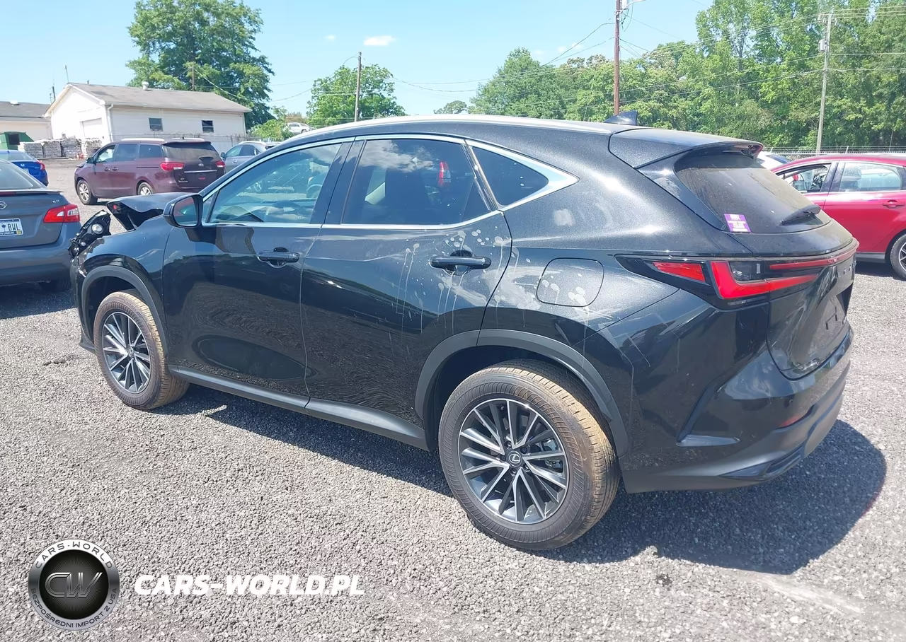 2025 Lexus Nx 250 Premium VIN:2T2GDCAZ7SC024222 - 3