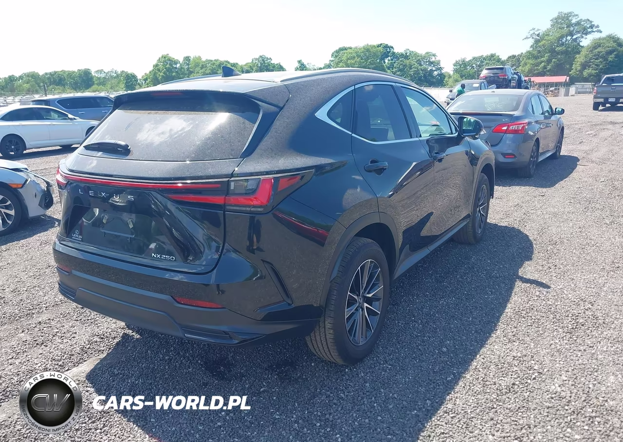 2025 Lexus Nx 250 Premium VIN:2T2GDCAZ7SC024222 - 4