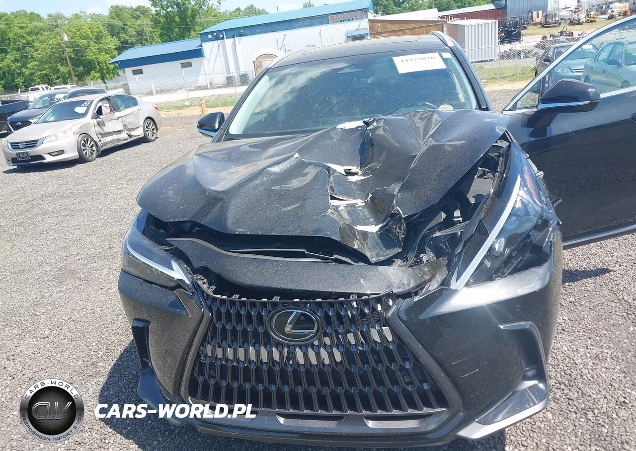 2025 Lexus Nx 250 Premium VIN:2T2GDCAZ7SC024222 - 6