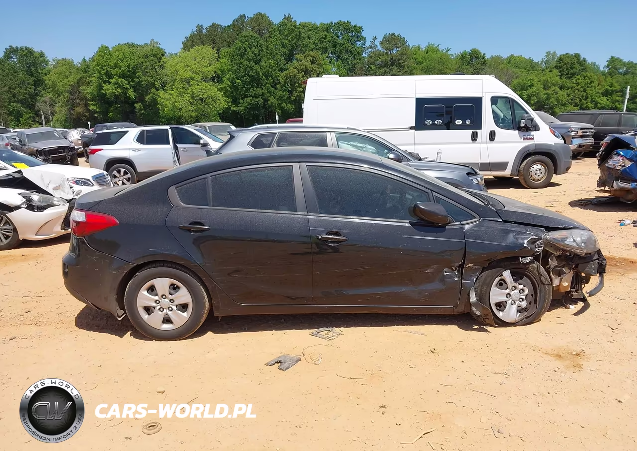 2015 Kia Forte Lx VIN:KNAFK4A60F5412944 - 13