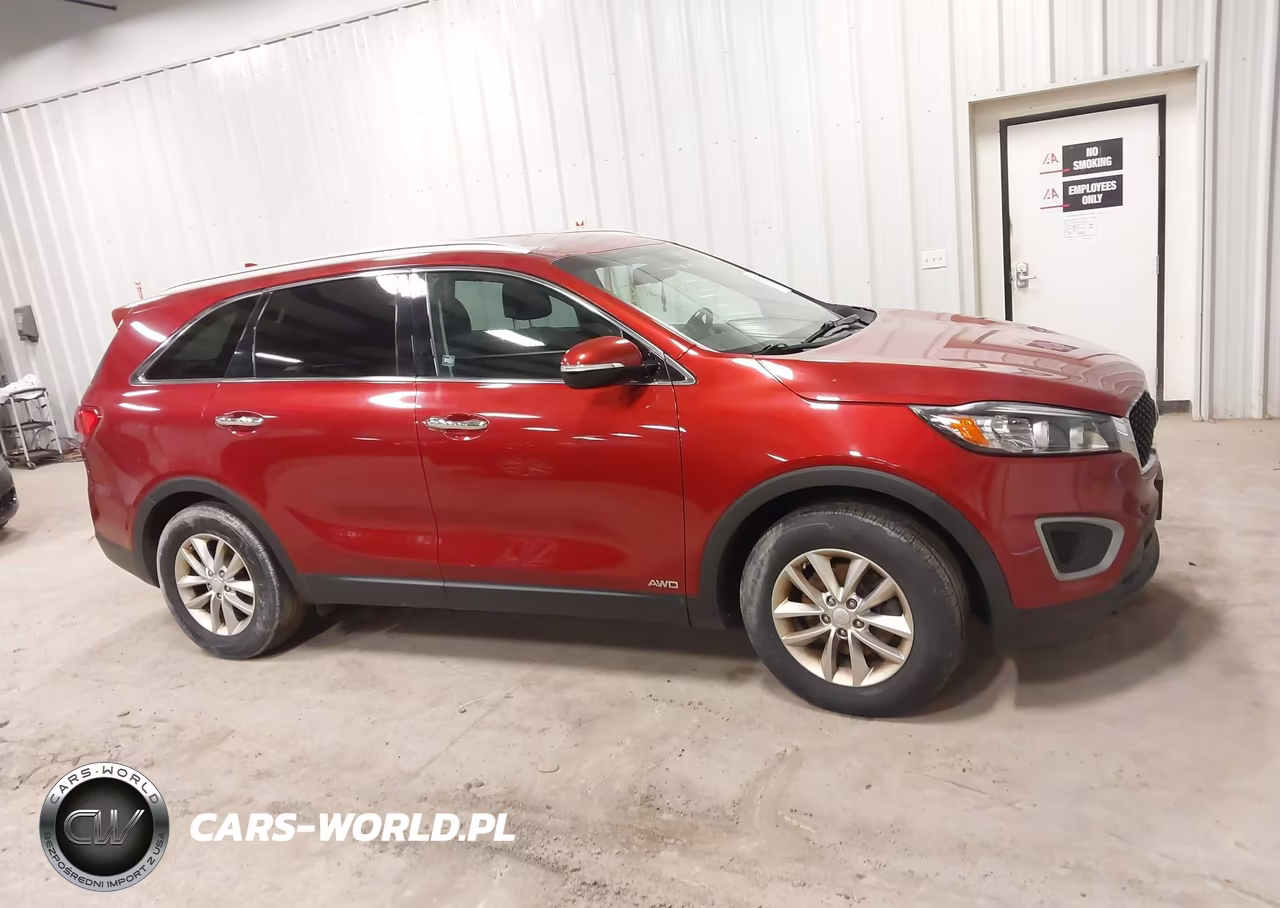 2017 Kia Sorento 2.4L Lx VIN:5XYPGDA39HG261417 - 13