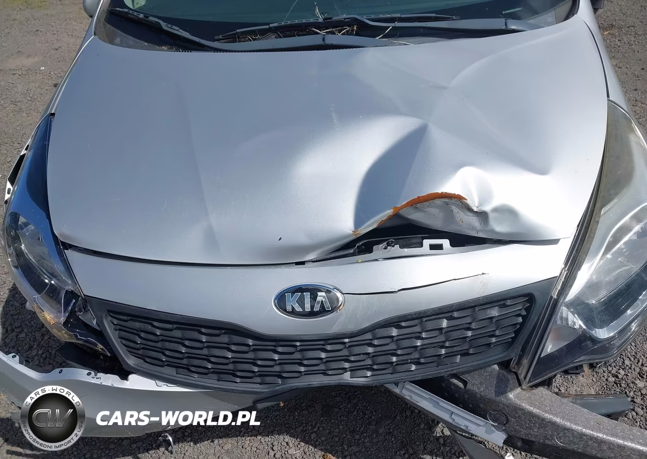2014 Kia Rio Lx VIN:KNADM4A32E6353007 - 10