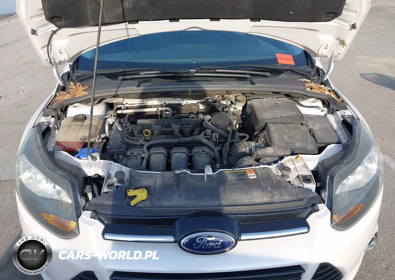 2014 Ford Focus Titanium VIN:1FADP3N2XEL167583 - 10