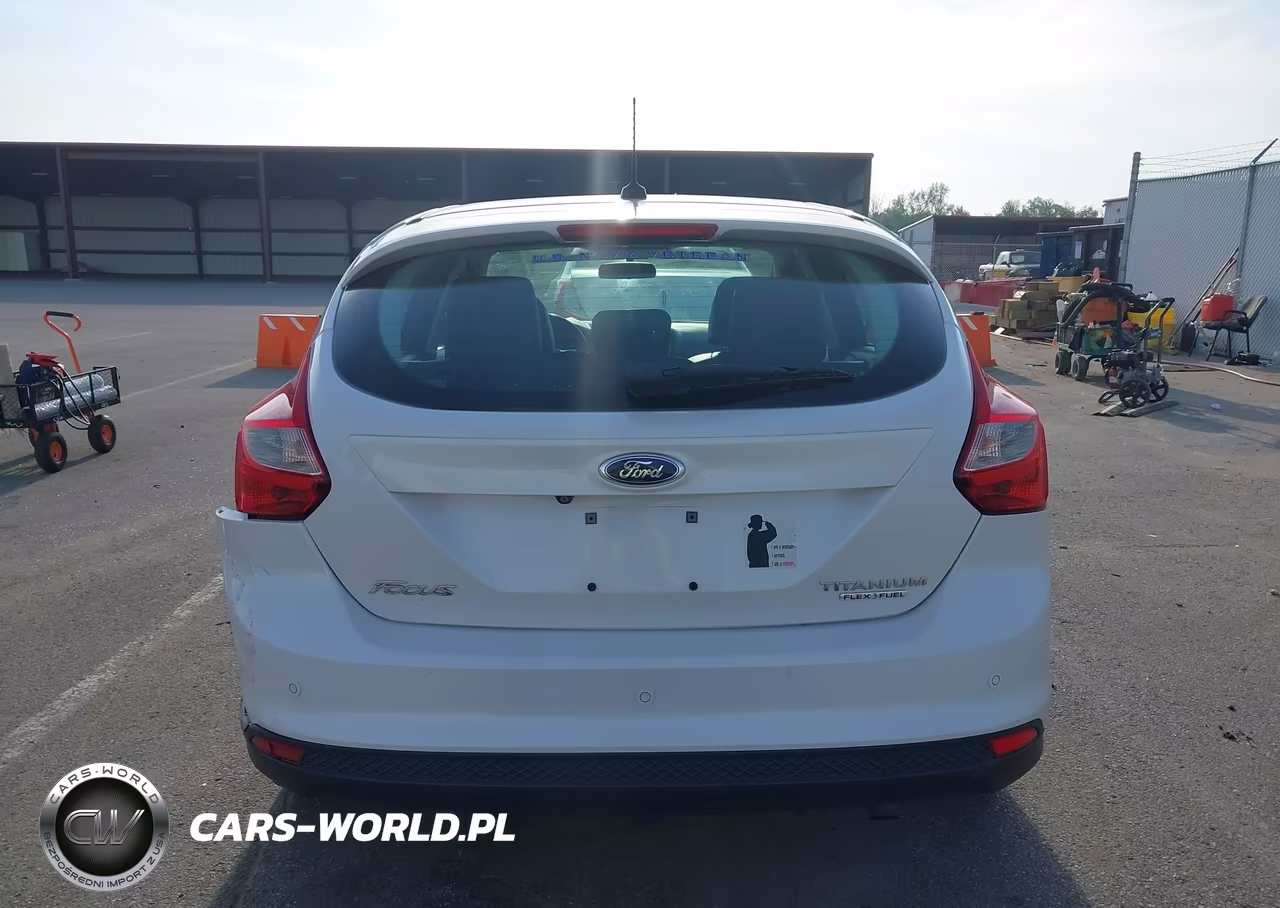 2014 Ford Focus Titanium VIN:1FADP3N2XEL167583 - 16