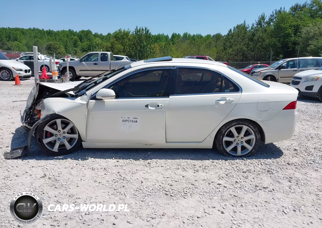 2004 Acura Tsx VIN:JH4CL96884C022207 - 13