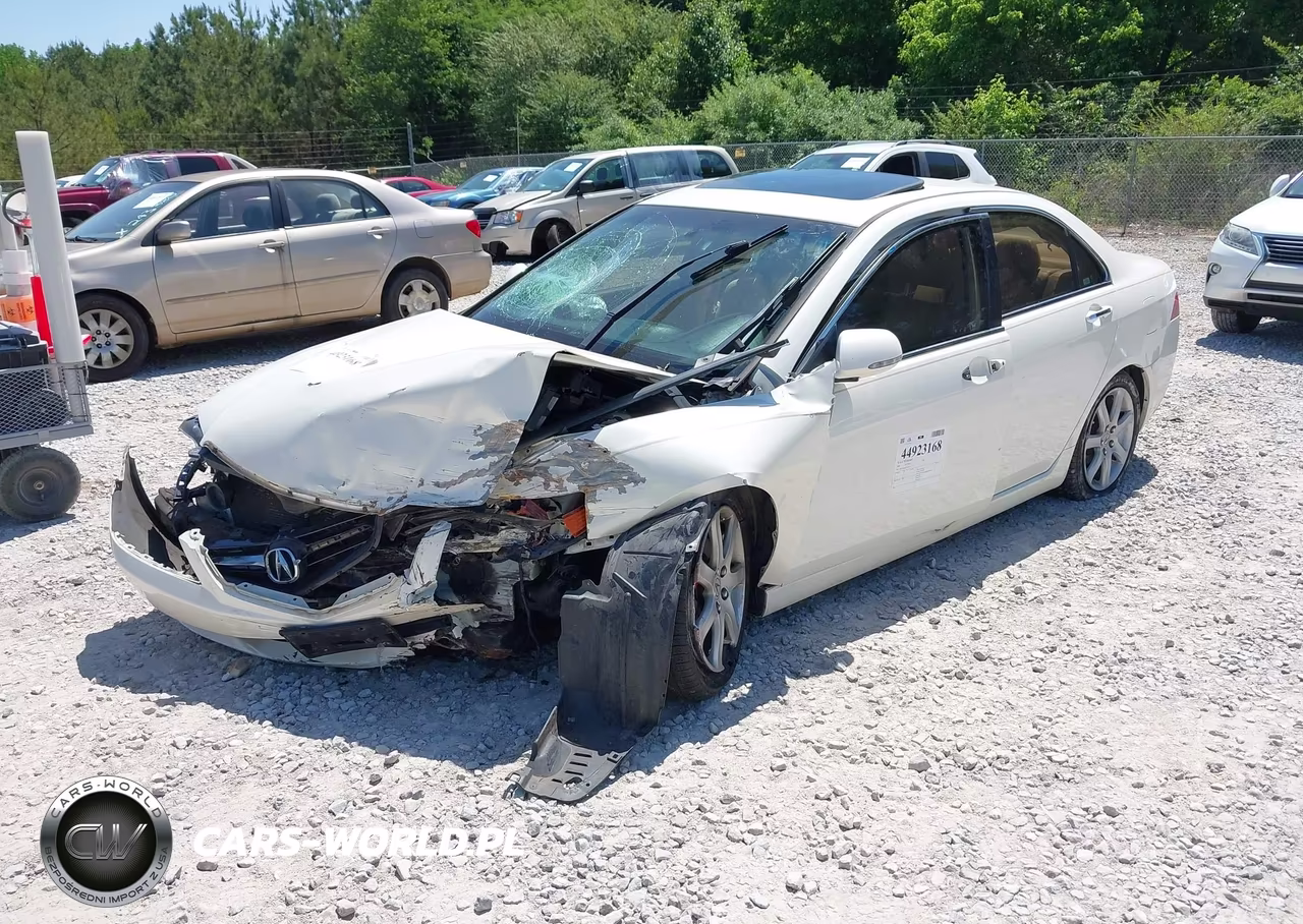 2004 Acura Tsx VIN:JH4CL96884C022207 - 2